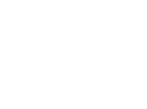 MWMC